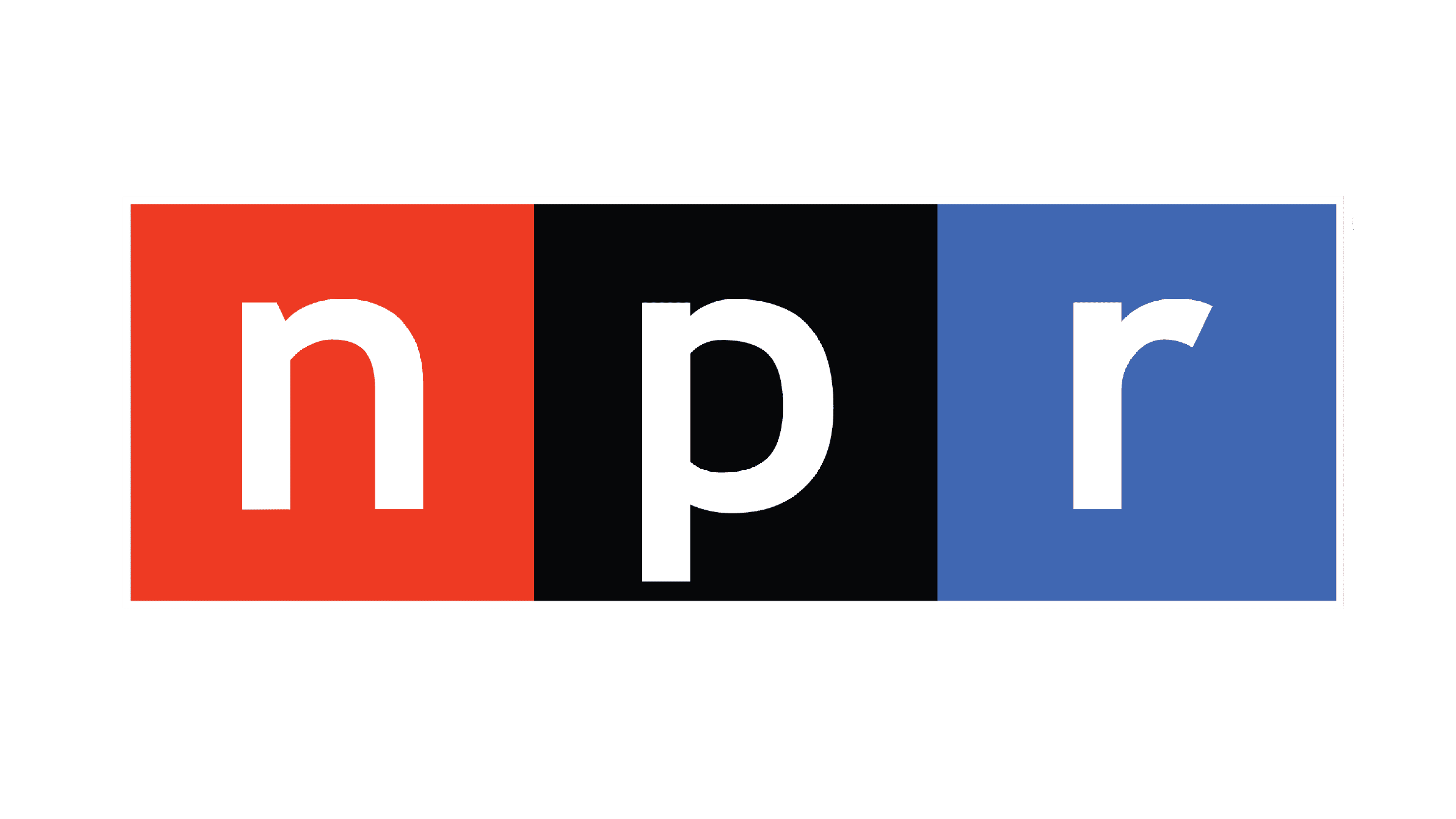 NPR Interview on Statues